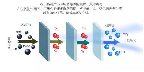 光觸媒、生物酶、空氣凈化器，哪家除甲醛公司效果好？