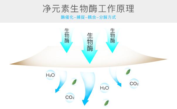 光觸媒、生物酶、空氣凈化器，哪家除甲醛公司效果好？